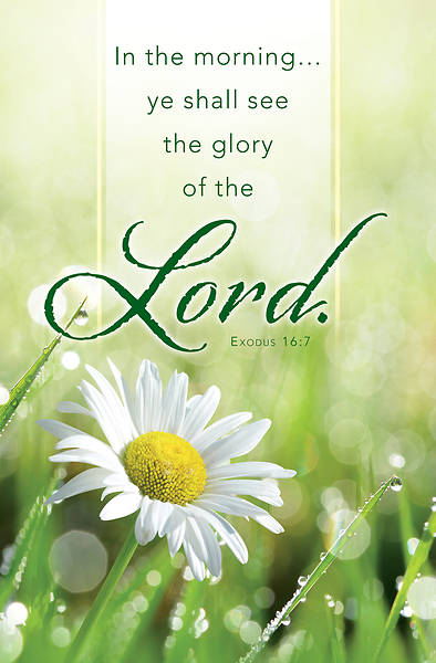 Picture of Glory of the Lord General Regular Size Bulletin