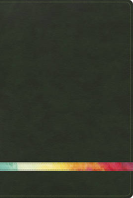Picture of Rvr 1960 Biblia de Estudio Arco Iris, Verde Profundo/Multi Simil Piel Con Indice