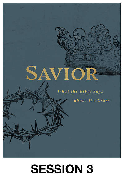 Picture of Savior Streaming Video Session 3