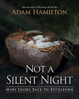Picture of Not a Silent Night - eBook [ePub]