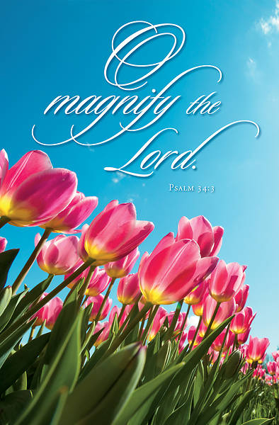 Picture of Magnify the Lord General Regular Size Bulletin