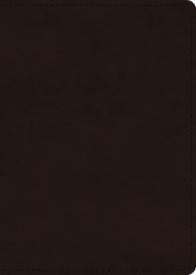 Picture of ESV Large Print Value Personal Size Bible, Red Letter (Trutone, Deep Brown)