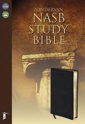 Picture of Zondervan Study Bible-NASB