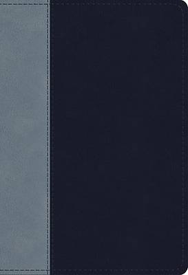 Picture of ESV Student Study Bible (Trutone, Navy/Slate, Timeless Design)