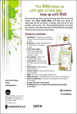 Picture of NIV Teen Study Bible