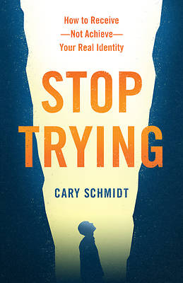 Picture of Stop Trying