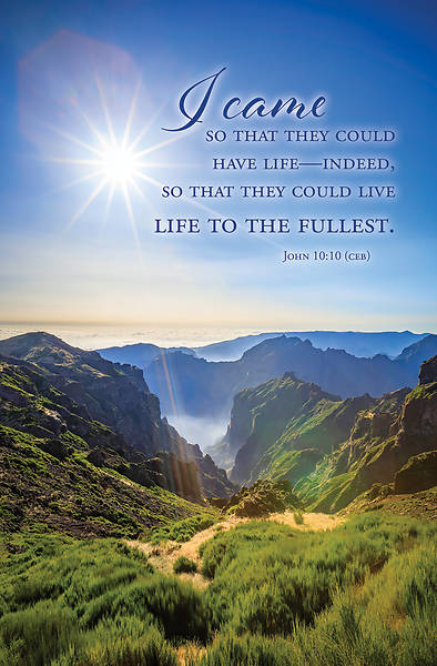 Picture of Word Alive! Weekly Bulletin without Message-Week 17, Legal Size (Package of 25)