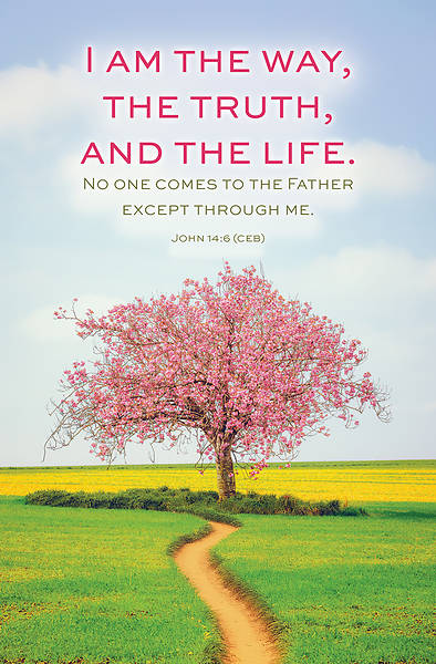 Picture of Word Alive! Weekly Bulletin without Message-Week 18, Legal Size (Package of 25)