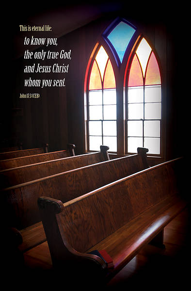 Picture of Word Alive! Weekly Bulletin without Message-Week 20, Legal Size (Package of 25)