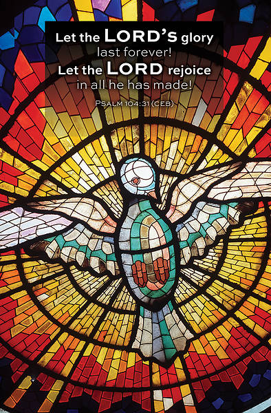 Picture of Word Alive! Weekly Bulletin without Message-Week 21, Legal Size (Package of 25)