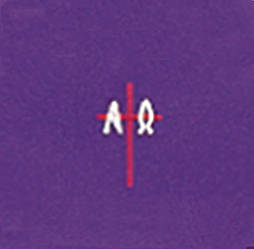 Picture of Gaspard 8410 Agony & Death of Jesus Burse