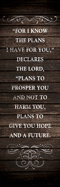 Picture of Rustic Charm Jer 29:11 2' x 6' Banner