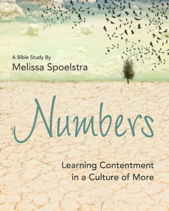 Picture of Numbers Women's Bible Study Participant Workbook