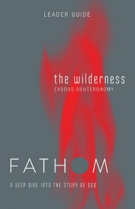 Picture of Fathom Bible Studies The Wilderness Leader Guide