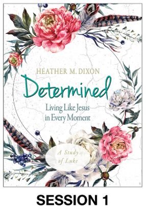 Picture of Determined Women's Bible Study Session Video