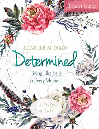 Picture of Determined Women's Bible Study Leader Guide