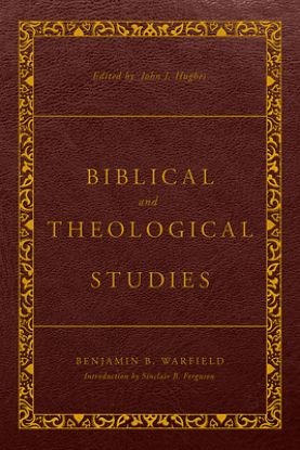 Picture of Biblical and Theological Studies