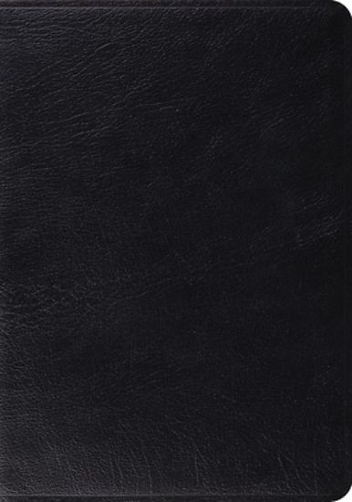 Picture of English Standard Version Study Bible