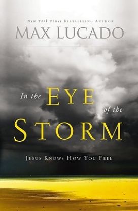 Picture of In the Eye of the Storm
