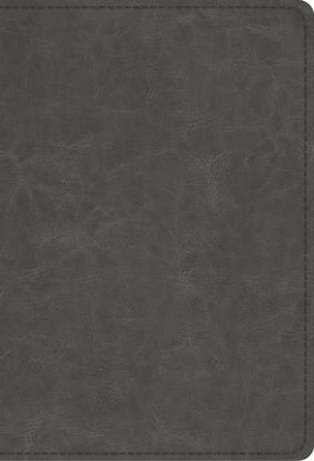 Picture of ESV Student Study Bible (Trutone, Gray)