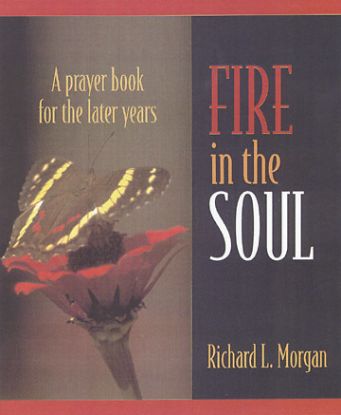 Picture of Fire in the Soul - eBook [ePub]