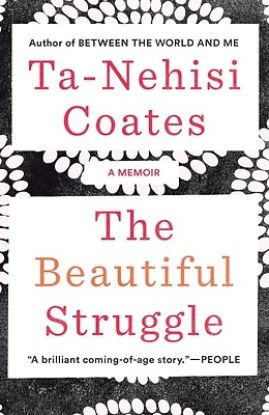 Picture of The Beautiful Struggle