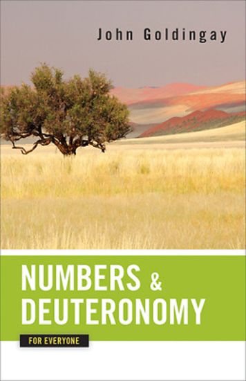 Picture of Numbers and Deuteronomy for Everyone