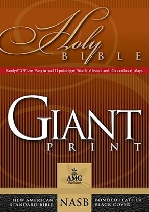 Picture of New American Standard Bible Giant Print Handy-Size Bible