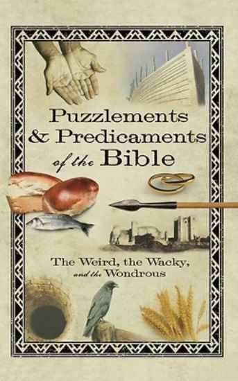 Picture of Puzzlements & Predicaments of the Bible