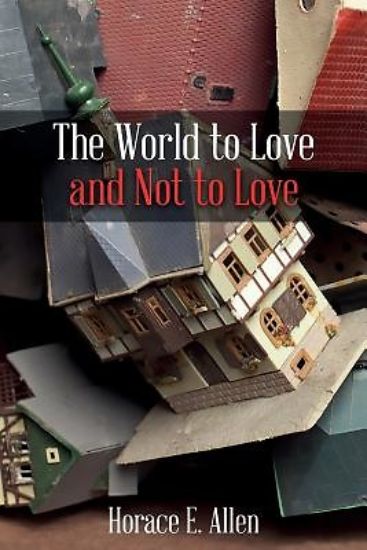 Picture of The World to Love and Not to Love