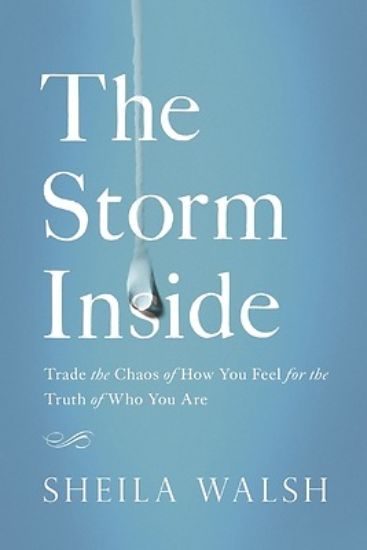 Picture of The Storm Inside