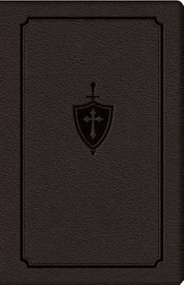 Picture of Manual for Conquering Deadly Sin