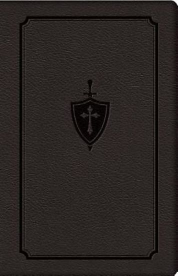 Picture of Manual for Conquering Deadly Sin