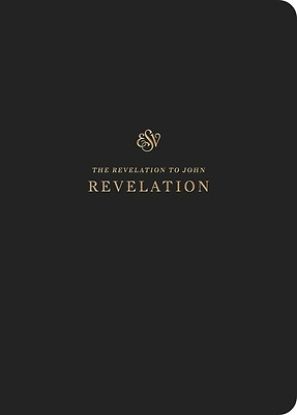 Picture of ESV Scripture Journal