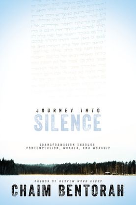 Picture of Journey Into Silence