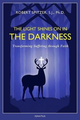 Picture of The Light Shines on in the Darkness