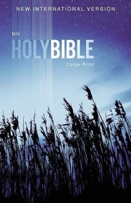 Picture of NIV Outreach Bible, Large Print, Paperback