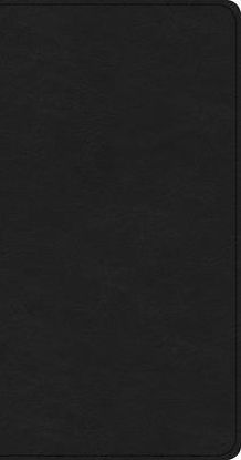 Picture of CSB Share Jesus Without Fear New Testament, Brown Leathertouch