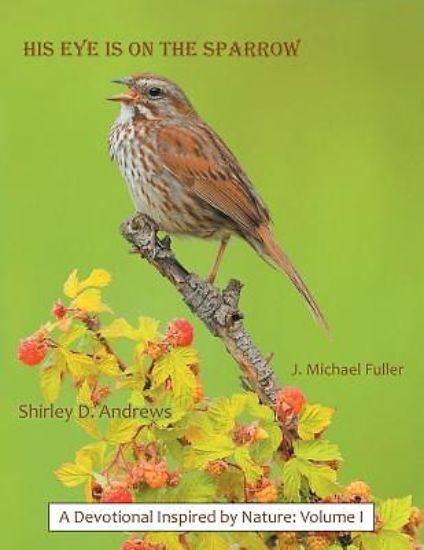 Picture of His Eye Is on the Sparrow