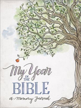 Picture of My Year in the Bible