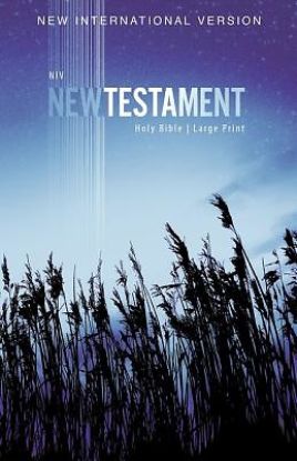 Picture of NIV, Outreach New Testament, Large Print, Paperback