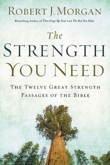 Picture of The Strength You Need