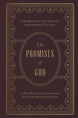 Picture of The Promises of God