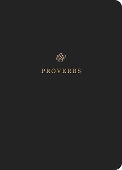 Picture of ESV Scripture Journal