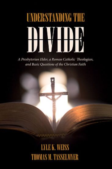Picture of Understanding the Divide