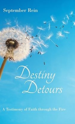 Picture of Destiny Detours