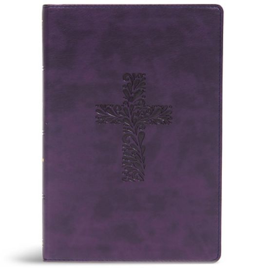 Picture of KJV Rainbow Study Bible, Purple Leathertouch