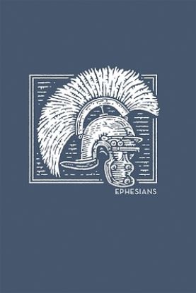 Picture of Net Abide Bible Journal - Ephesians, Paperback, Comfort Print