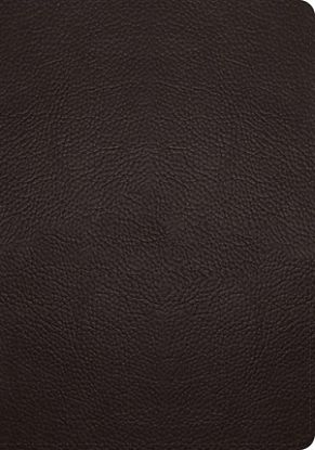 Picture of ESV Study Bible (Buffalo Leather, Deep Brown)