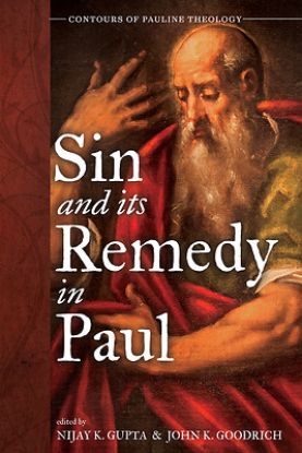 Picture of Sin and Its Remedy in Paul